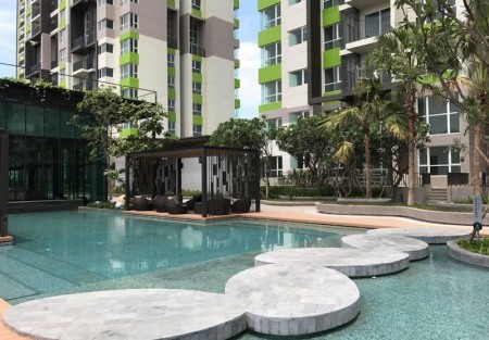 Vista Verde cho thuê và cập nhật căn hộ mới nhất