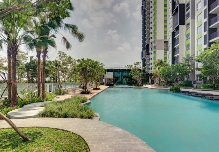 Mua căn hộ Vista Verde phù hợp nhu cầu ở và đầu tư
