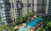 Vista Verde cho thuê căn hộ view đẹp với không gian sống thoáng