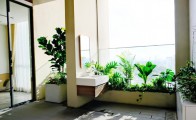 Có nên mua Kiều By KITA để ở hoặc đầu tư không?