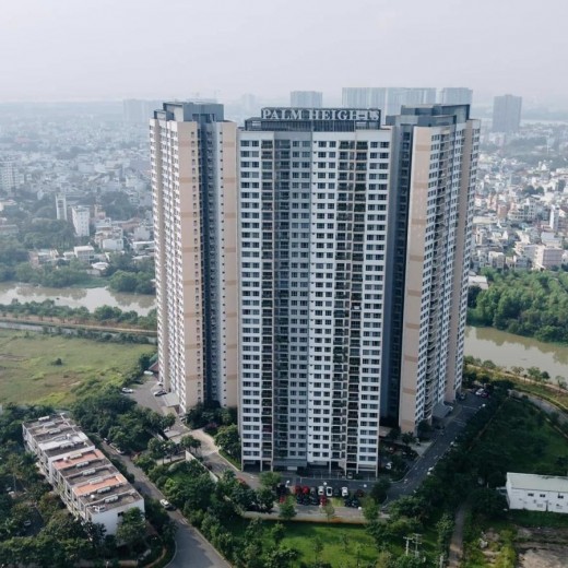 Palm Heights