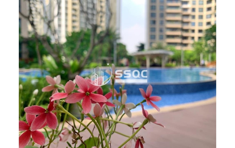 CẬP NHẬT GIỎ HÀNG CHUYỂN NHƯỢNG ESTELLA HEIGHTS – 09/2025