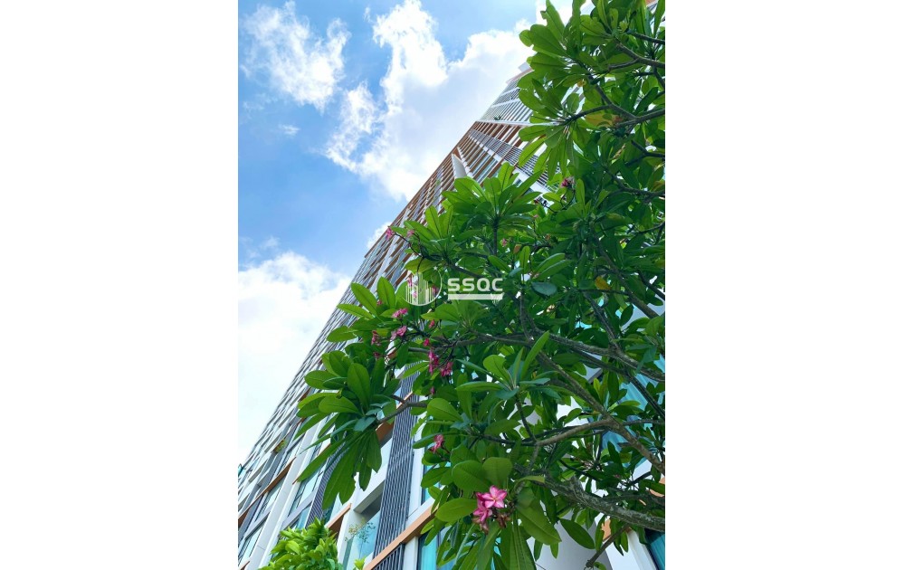 Bán căn hộ 1 phòng ngủ có sân vườn – Feliz En Vista Quận 2 – Full nội thất cao cấp, giá 8 tỷ