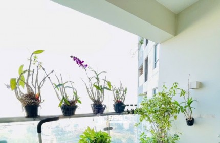 FULL GIỎ HÀNG CHO THUÊ CĂN 2PN, GIÁ TỐT NHẤT DỰ ÁN ĐẢO KIM CƯƠNG