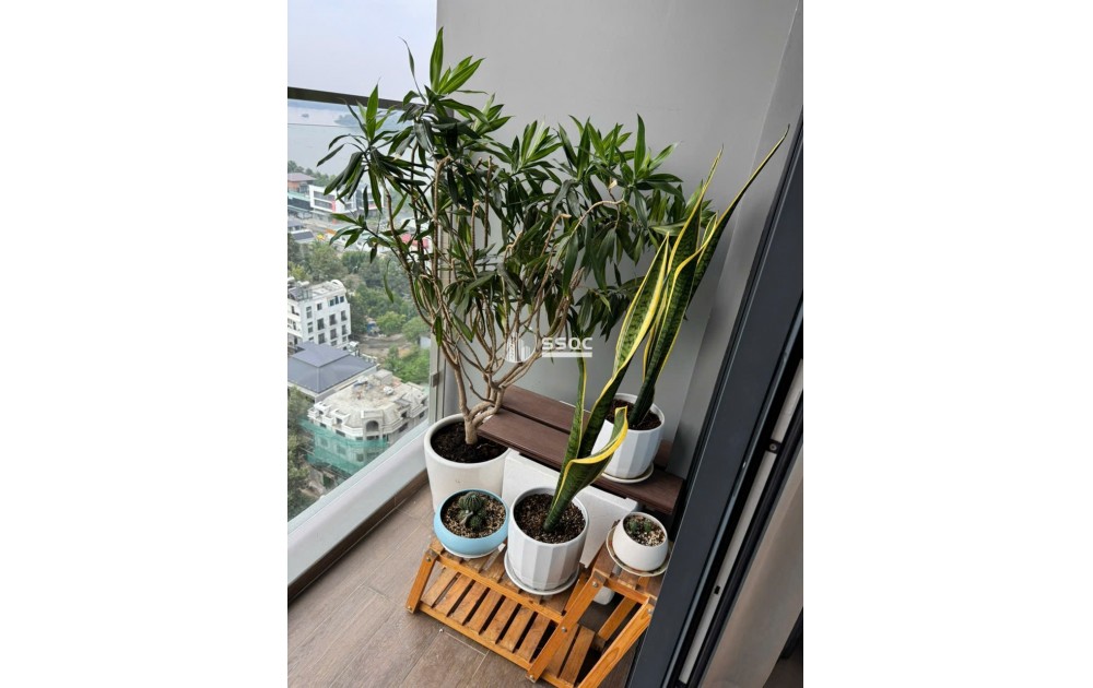 ONE VERANDAH 1PN – DIỆN TÍCH 56M² – GIÁ THUÊ 17TR – VIEW SÔNG