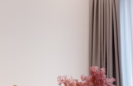 Bán Căn hộ 2 phòng ngủ The River Thủ Thiêm Giá tốt