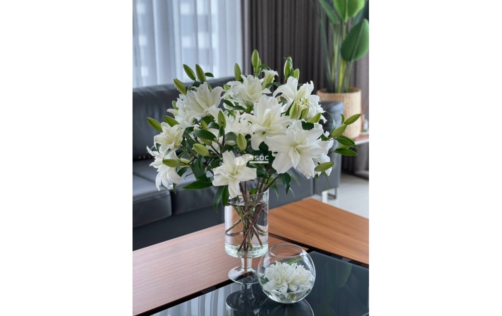 BÁN CĂN 3PN ĐẢO KIM CƯƠNG – VIEW ĐẸP THÁP BORA, GIÁ TỐT