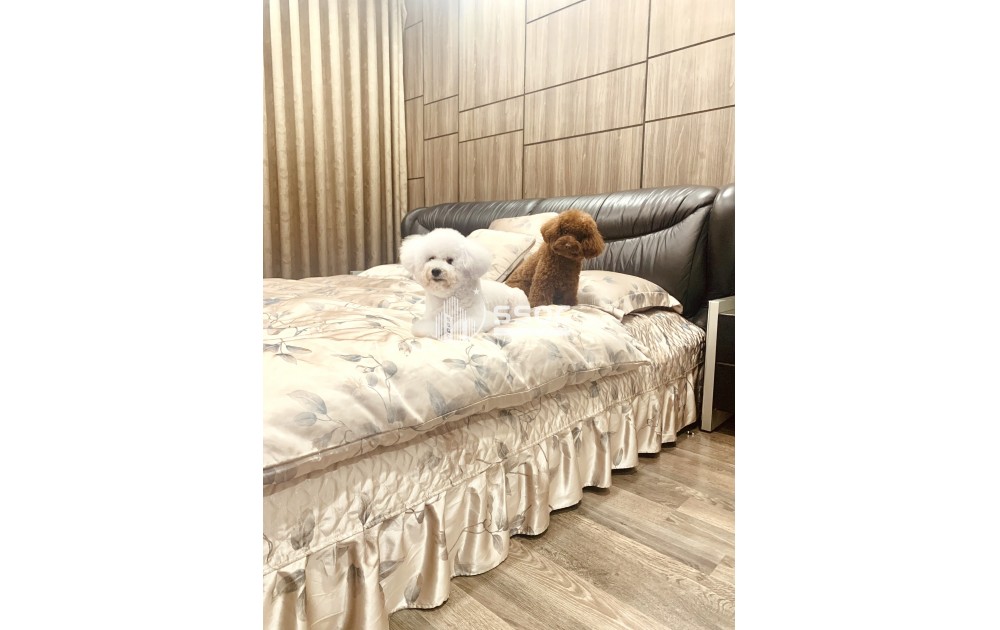 2PN VISTA VERDE – TẦNG 20 VIEW THOÁNG – FULL NỘI THẤT – CHỈ 23TR/THÁNG