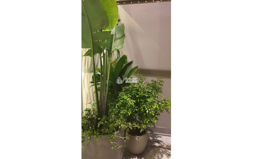  CHO THUÊ DUPLEX 3PN TẠI Vista Verde | THÁP T2 | VIEW HỒ BƠI | CĂN DUY NHẤT