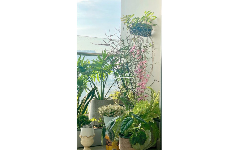 BÁN CĂN HỘ ĐẢO KIM CƯƠNG 2PN TOÀ CA TẦNG TRUNG 93M² NỘI THẤT CƠ BẢN GIÁ 9.5 TỶ