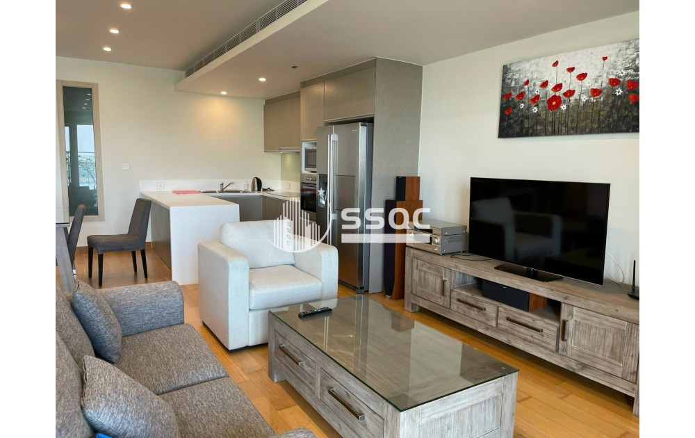 Cho thuê căn hộ 2PN diện tích cực đại 125m2 tháp Brilliant Đảo Kim Cương, view trực diện Quận 1, giá 45 triệu.