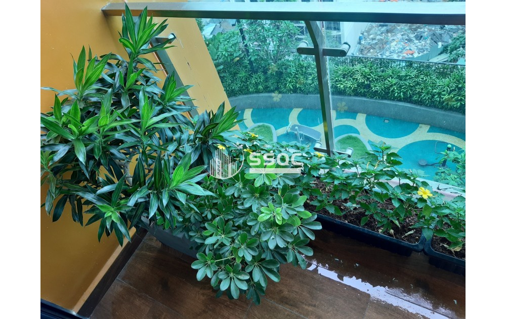 CHO THUÊ CĂN HỘ 2PN FELIZ EN VISTA VIEW THOÁNG ĐÃNG GIÁ TỐT NHẤT QUẬN 2