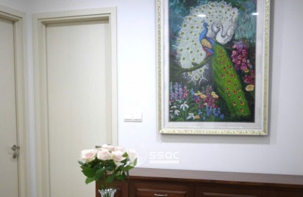 CHECK-LIST ĐIỂM VÀNG PHONG THỦY CỦA SIÊU PHẨM CĂN GÓC TẦNG 33 – VISTA VERDE