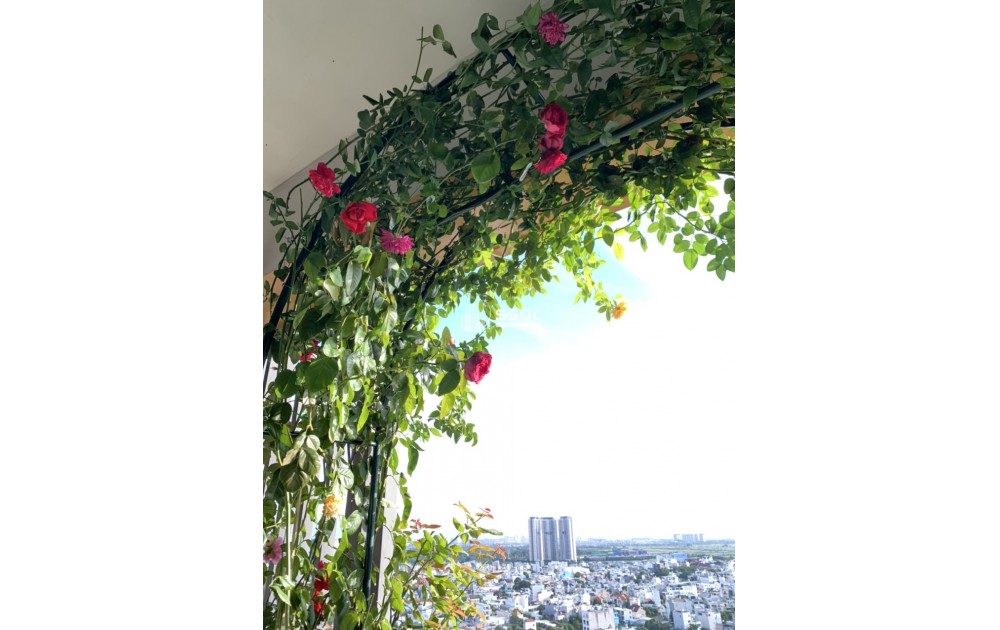 BÁN FELIZ EN VISTA - 1 PHÒNG NGỦ - GIÁ TỐT TẦNG TRUNG - 58M2
