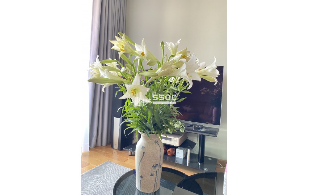 BÁN FELIZ EN VISTA - 2 PHÒNG NGỦ - GIÁ TỐT TẦNG TRUNG 9.8 TỶ