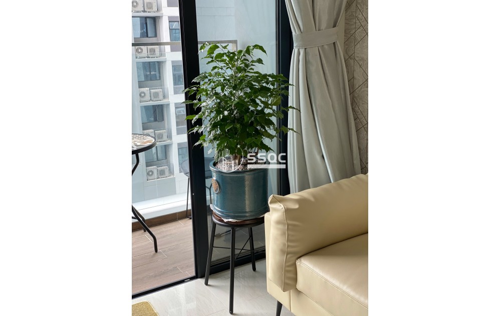 TỔNG HỢP RỔ HÀNG BÁN ONE VERANDAH - 2PN - GIÁ TỪ 8 TỶ