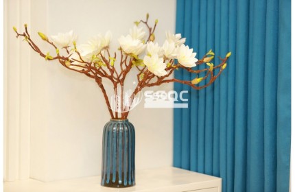 BÁN CĂN HỘ 2PN ĐẢO KIM CƯƠNG QUẬN 2 VIEW SÔNG NỘI THẤT CAO CẤP 88-120M2 GIÁ HỢP LÝ