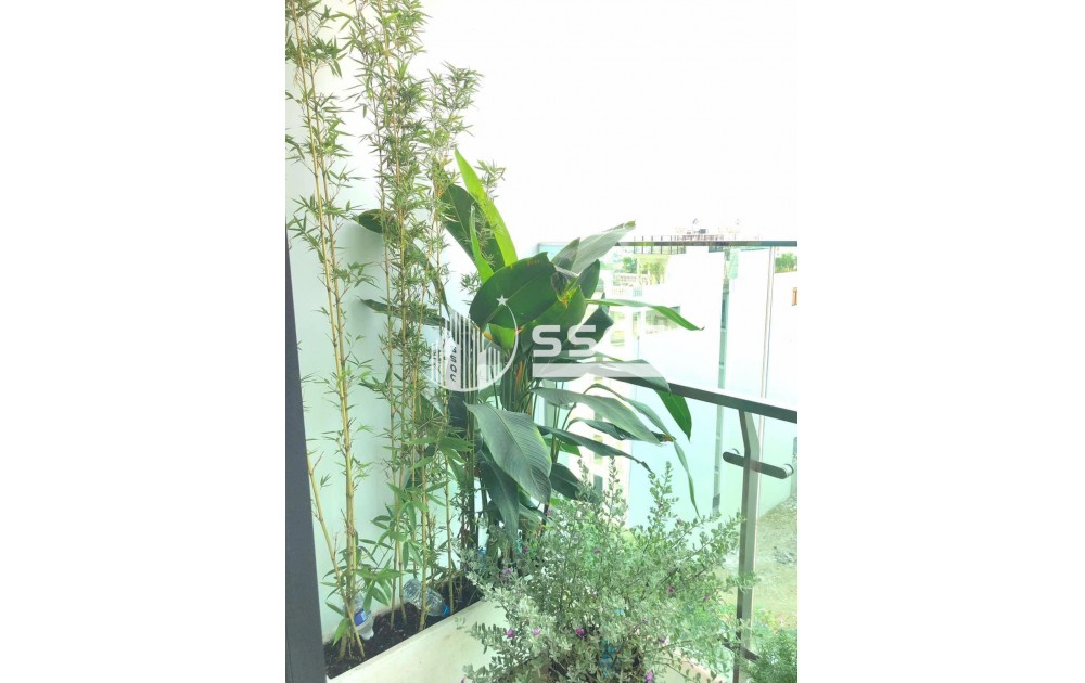 CHO THUÊ CĂN HỘ 1PN FELIZ EN VISTA CAPITALAND – DÒNG CAO CẤP, FULL NỘI THẤT SANG TRỌNG TẠI THẠNH MỸ LỢI