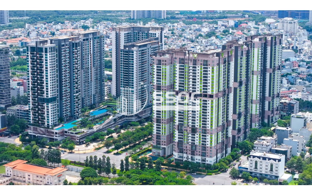 Giỏ hàng chuyển nhượng Feliz en Vista đa dạng - Cập nhật mỗi ngày - Giá tốt