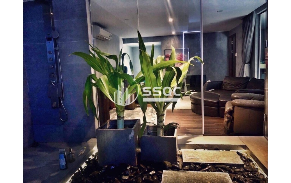 NHÀ ĐẸP LUNG LINH BÁN DUPLEX VISTA VERDE, 88 M2, 2 PHÒNG NGỦ, GIÁ 10.8 TỶ