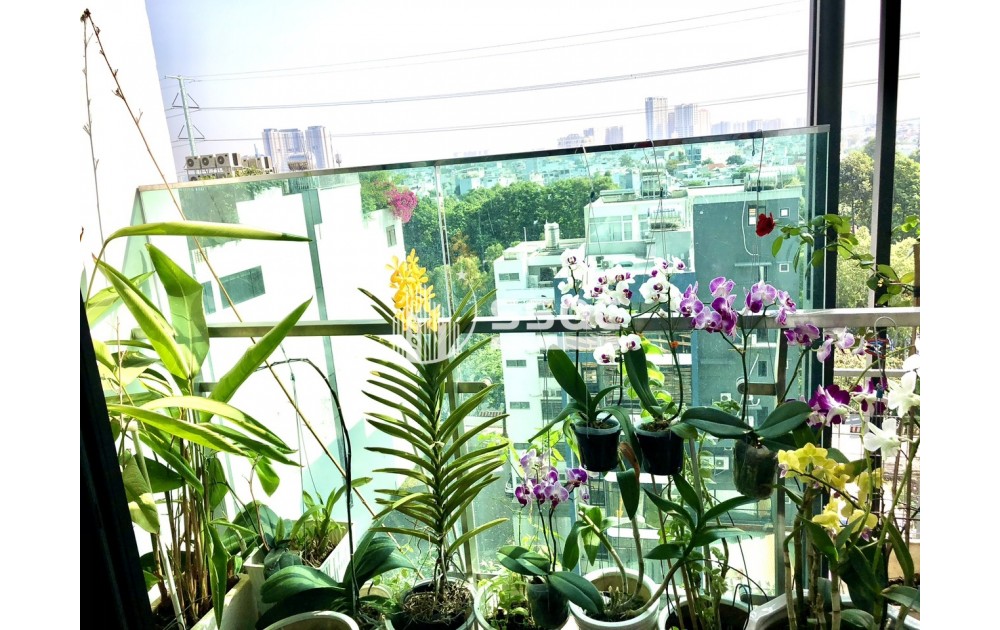 [Feliz En Vista] HIẾM HOI CHO THUÊ CĂN 1PN GIÁ CỰC TỐT