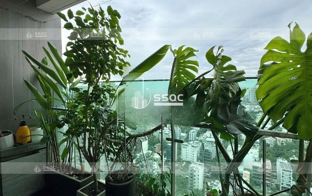 [Feliz En Vista] CĂN HỘ 2PN TÒA CRUZ TẦNG CAO - SẴN BÀN GIAO THÁNG 8 | FELIZ EN VISTA
