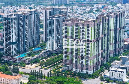 Giỏ hàng chuyển nhượng Feliz en Vista đa dạng - Cập nhật mỗi ngày - Giá tốt