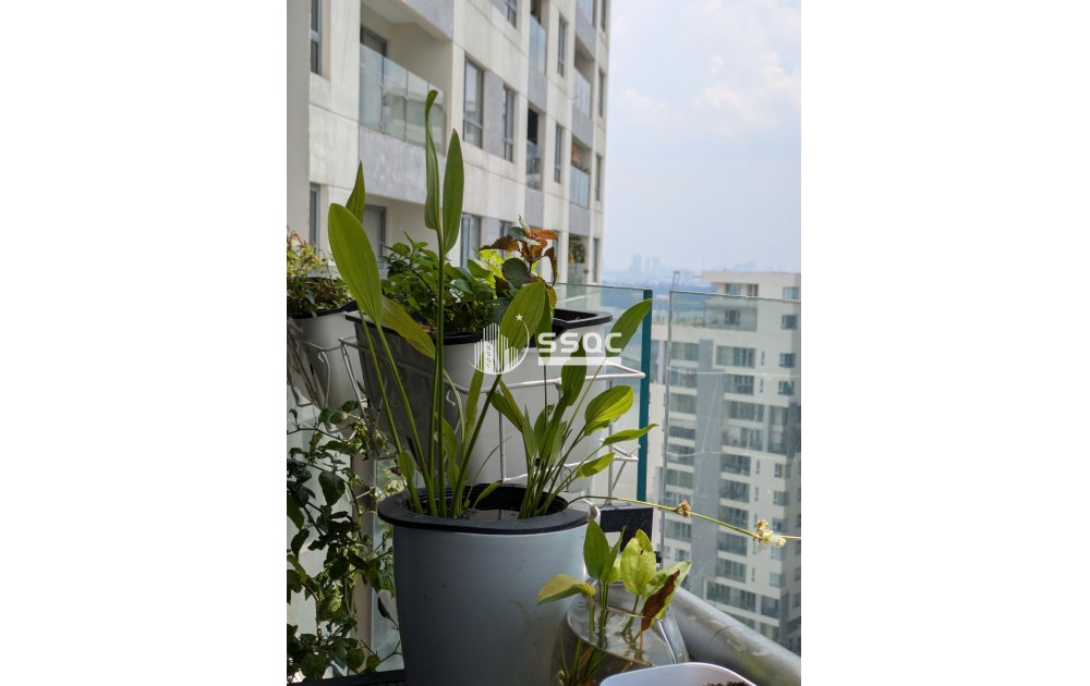 BÁN CĂN HỘ ĐẢO KIM CƯƠNG GIÁ 11.7 TỶ, 2 PHÒNG NGỦ - 88 M2, XÁCH VALI VÀO Ở