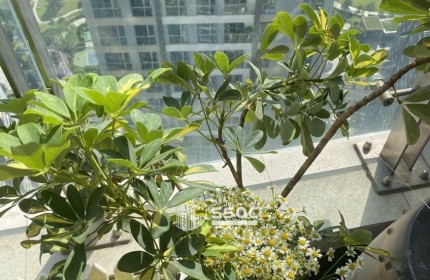BÁN CĂN HỘ VINHOMES CENTRAL PARK, GIÁ 7.5 TỶ - 1 PHÒNG NGỦ NHÀ ĐẸP LUNG LINH 56 M2