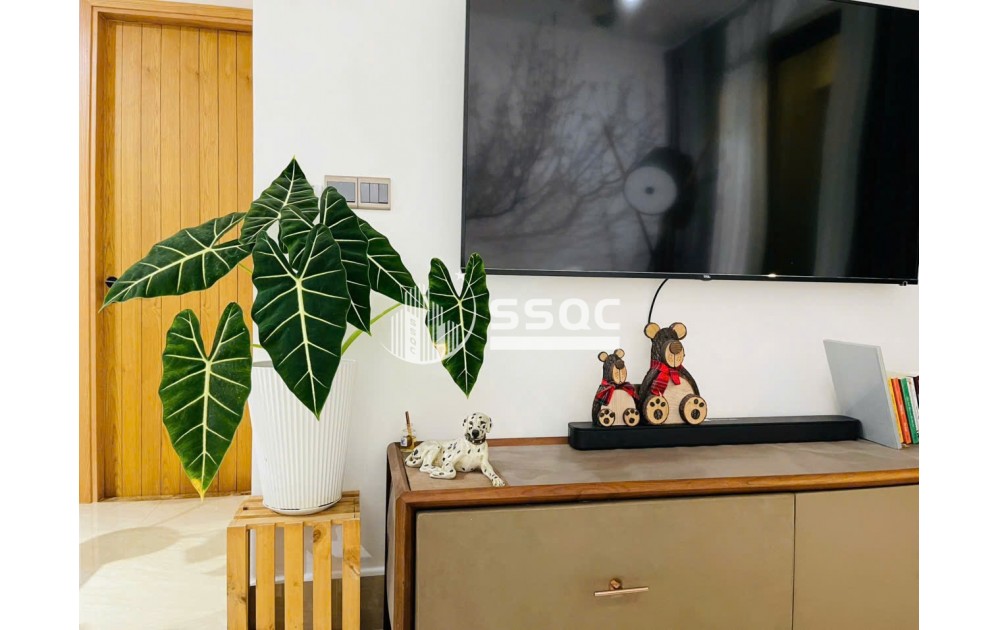BÁN CĂN HỘ FELIZ EN VISTA, NHÀ ĐẸP LUNG LINH - 1 PHÒNG NGỦ - 58 M2, GIÁ 8 TỶ